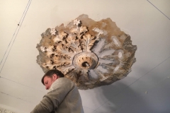 Arundel Gardens During Cleaning