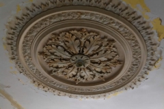 Period Ceiling Rose