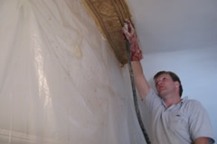 Repainting Cornices