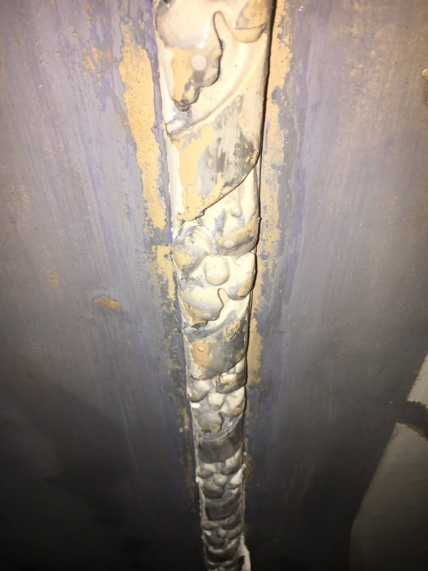 Decorative plaster ceiling border after cleaning and before repainting at Clissold Crescent.