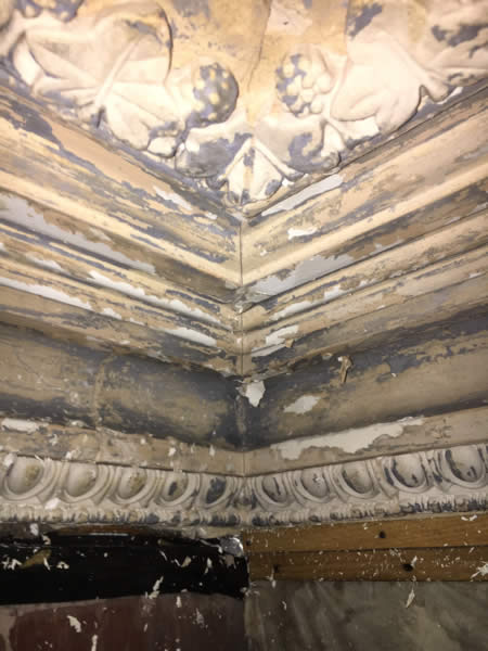 Corner of decorative plaster cornice after cleaning and before repainting at Clissold Crescent.