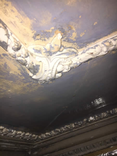 Ornamental corner motif joining plaster ceiling borders before repainting at Clissold Crescent.