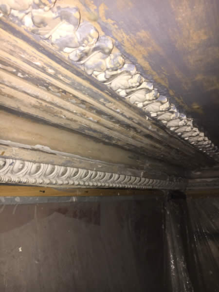Long view of cleaned plaster cornice with leaf and egg-and-dart decoration at Clissold Crescent.