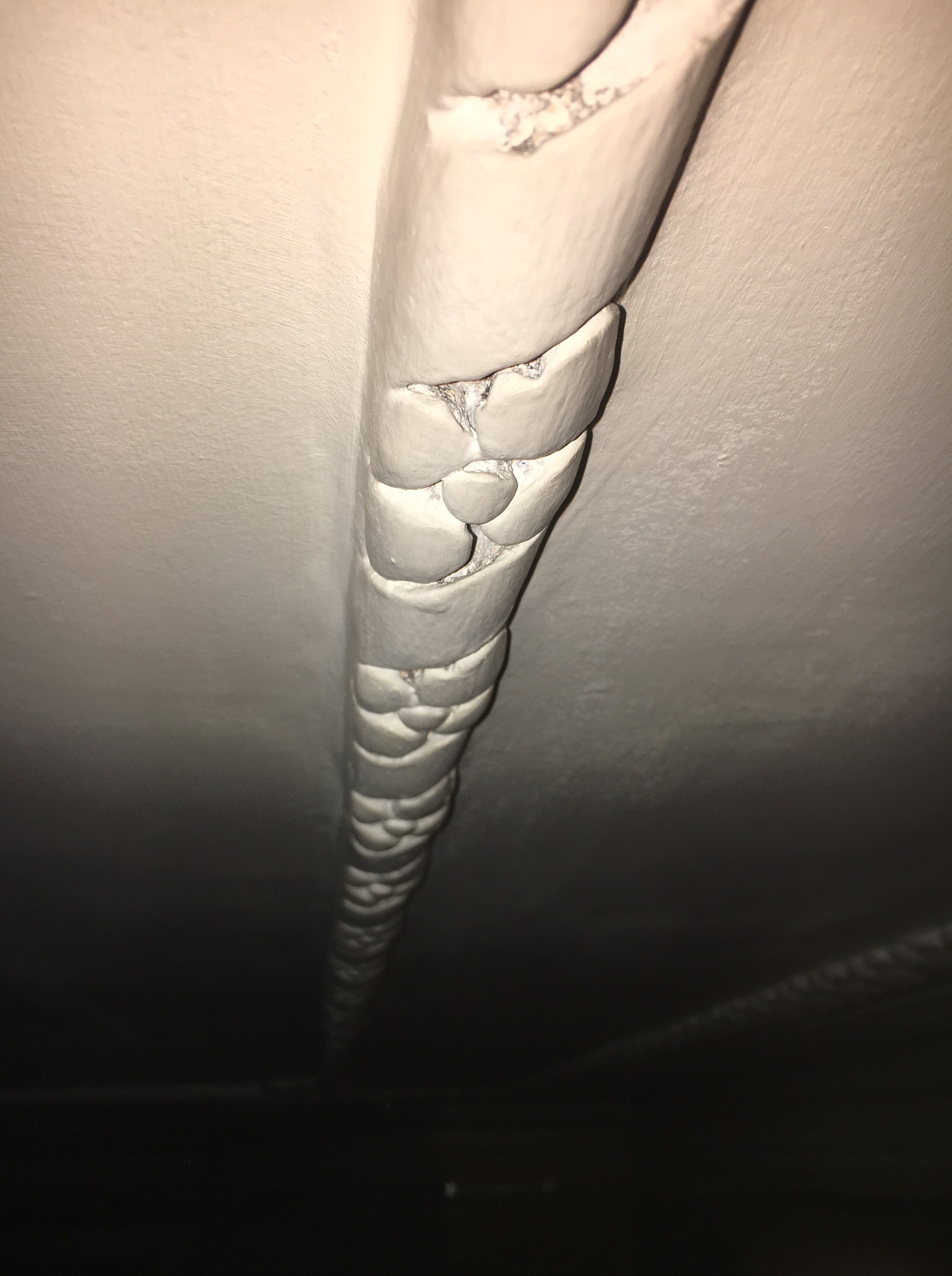 Close-up of a painted decorative plaster ceiling border before cleaning at Clissold Crescent.