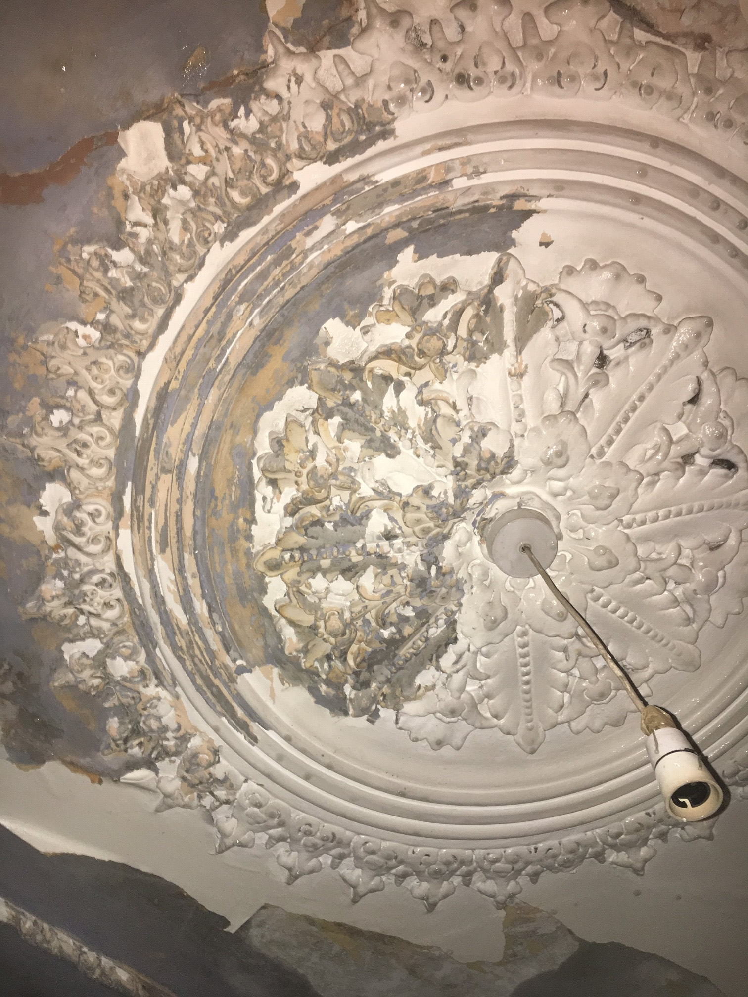 Ornate plaster ceiling rose partially stripped of paint during restoration at Clissold Crescent.
