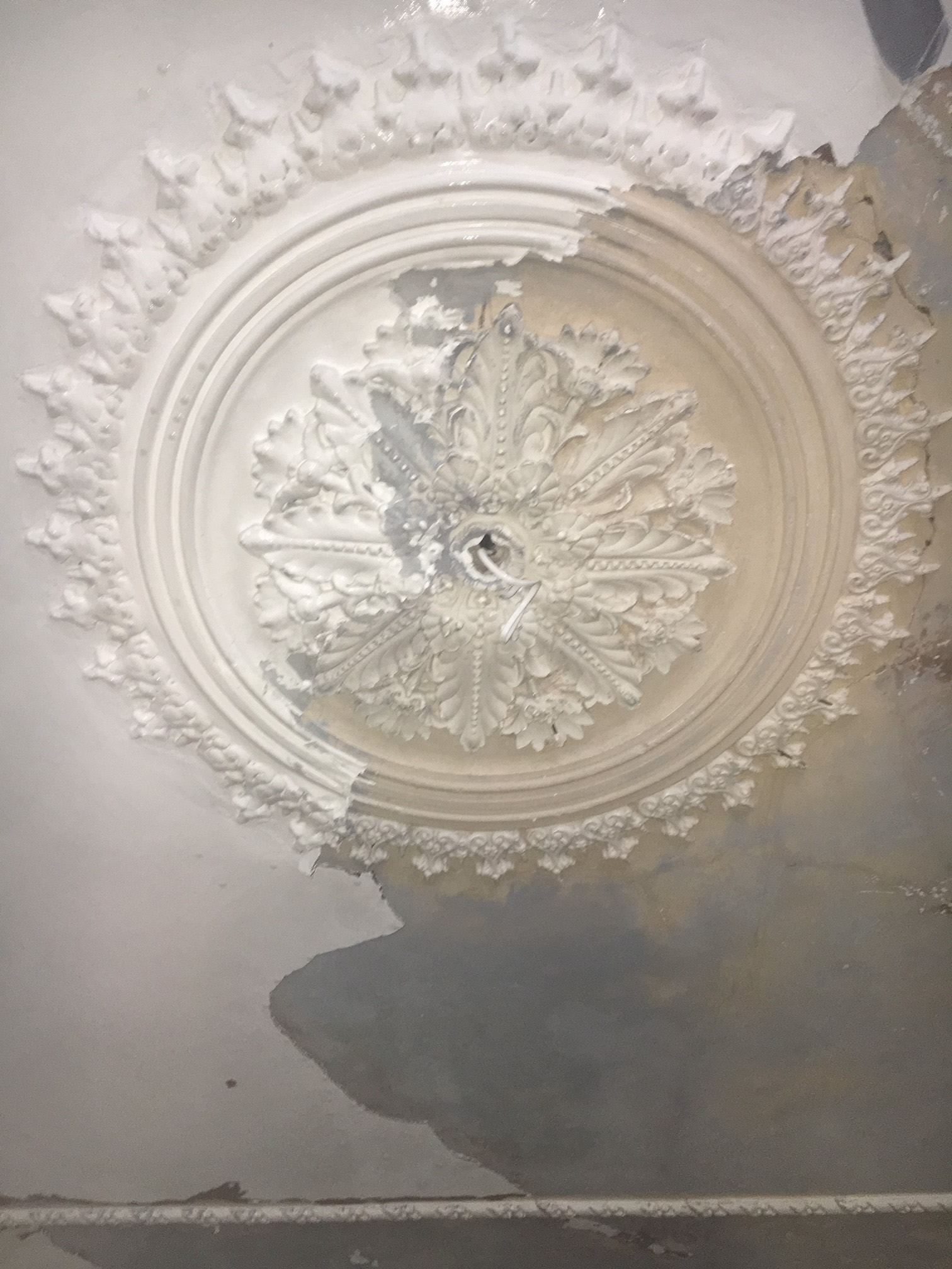 Full view of an ornate plaster ceiling rose partially stripped of paint at Clissold Crescent.