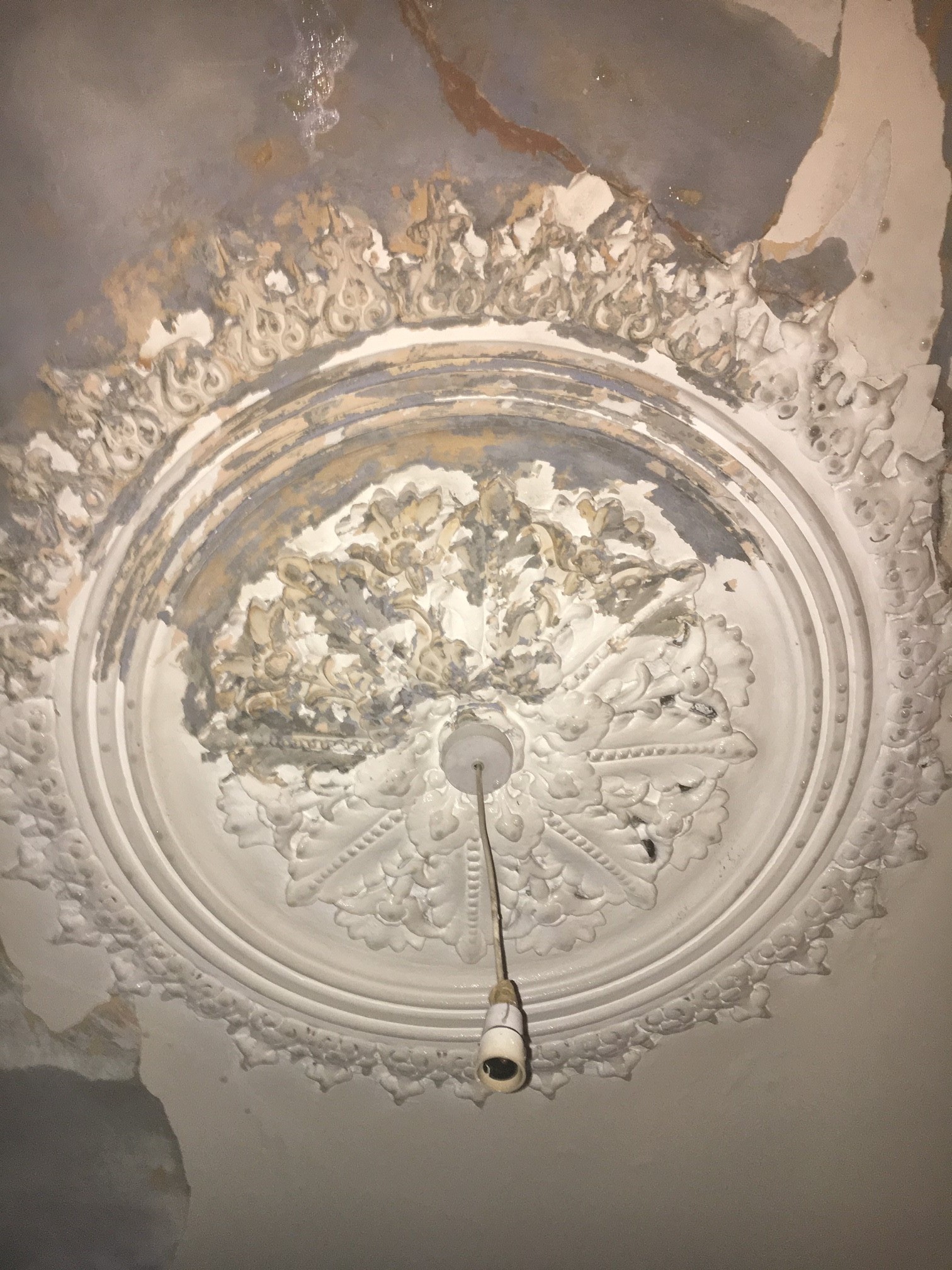 Plaster ceiling rose with pendant fitting and partially removed paint at Clissold Crescent.