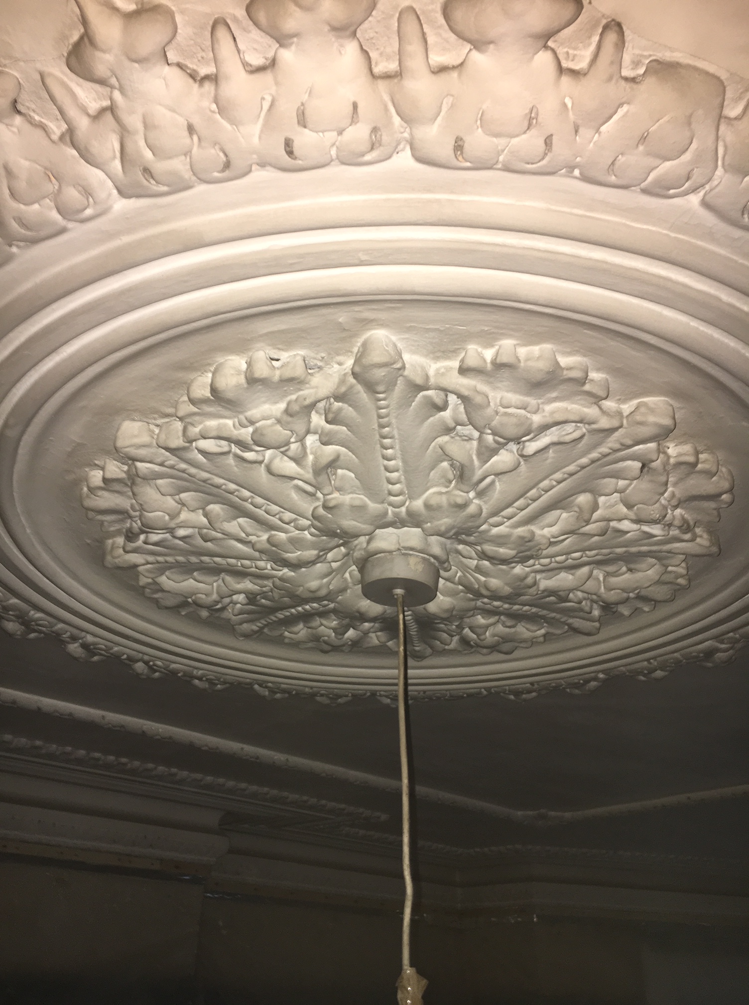 Ornate plaster ceiling rose with leaf detailing and surrounding cornice before cleaning at Clissold Crescent.