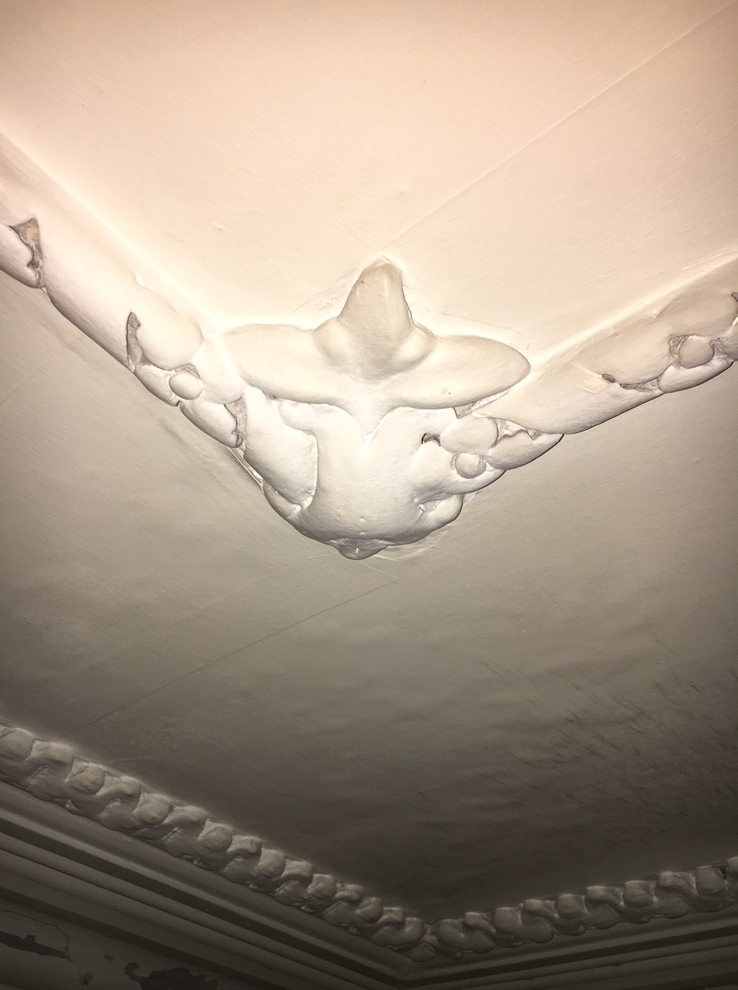 Decorative corner motif joining plaster ceiling borders, with surrounding cornice, before cleaning at Clissold Crescent.