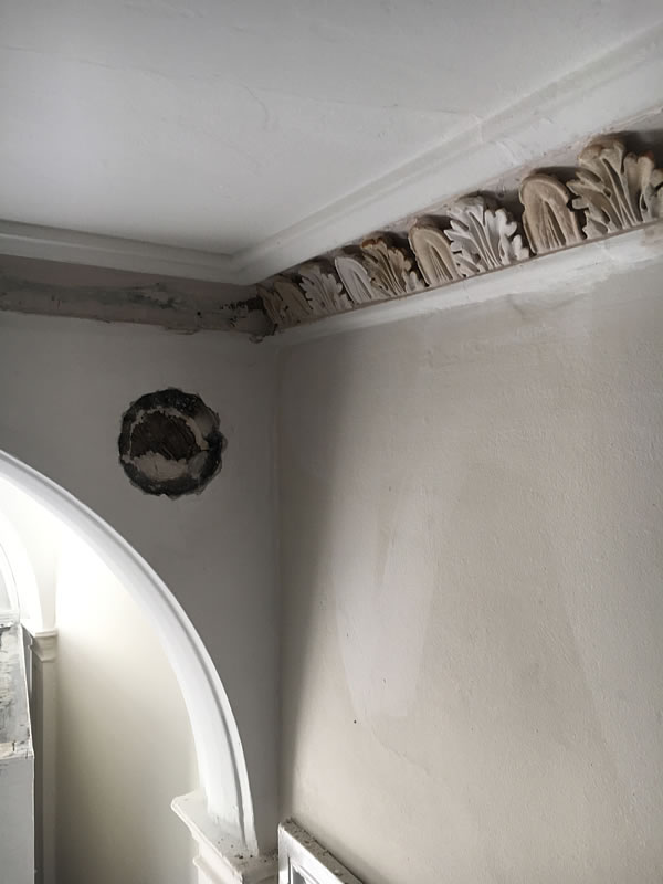 cornice paint removal 9