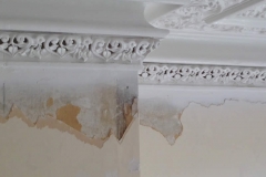 Cornice Restoration 37