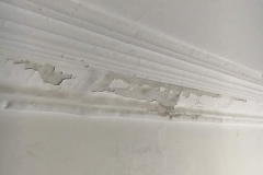 conice restoration 5