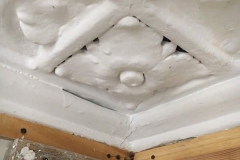 Before Paint Removal