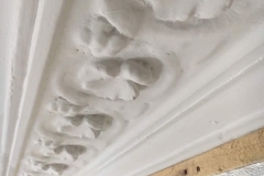 Before Paint Removal