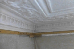 Before Paint Removal