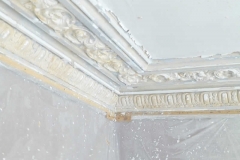 During Steam Removal