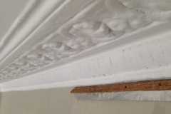 Before  Paint Removal